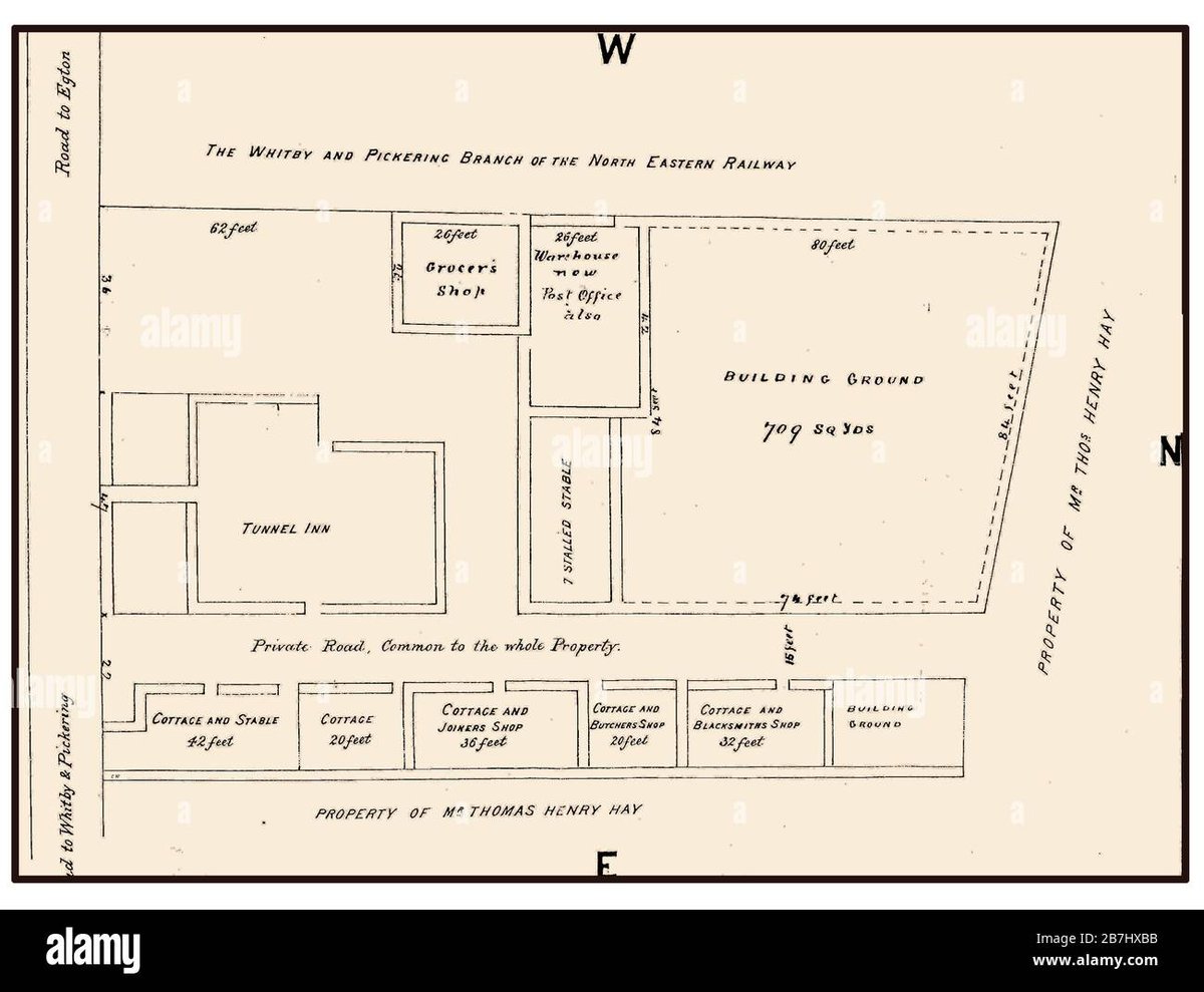 How Old Is Giyu Tomioka In Blue Lock, If He Exists?